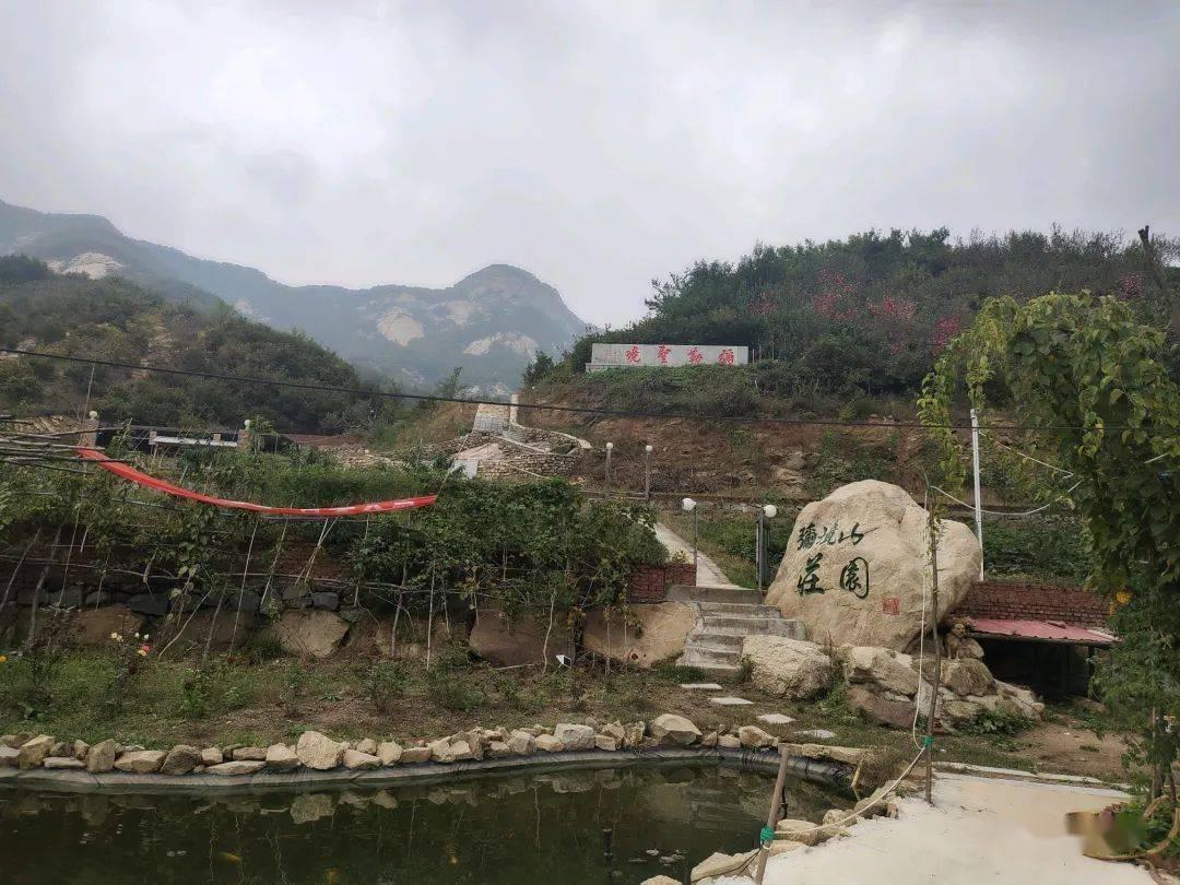 今晚我台推出大型融媒体节目《潍坊,我的诗与远方》第四期《南非女孩 逐梦潍坊》