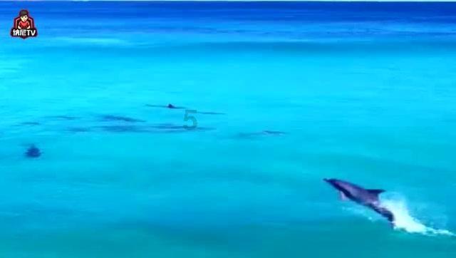 森迪公主夏日度假