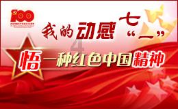 私家车行驶途中撞毁路边围墙，致院内停放车辆受损