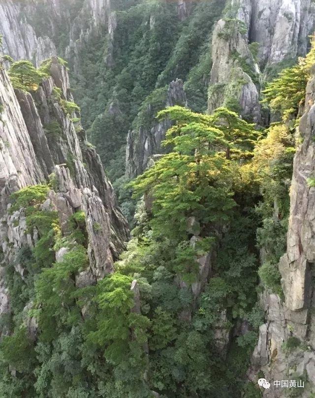厦门市网络安全技术应用试点示范项目正在申报